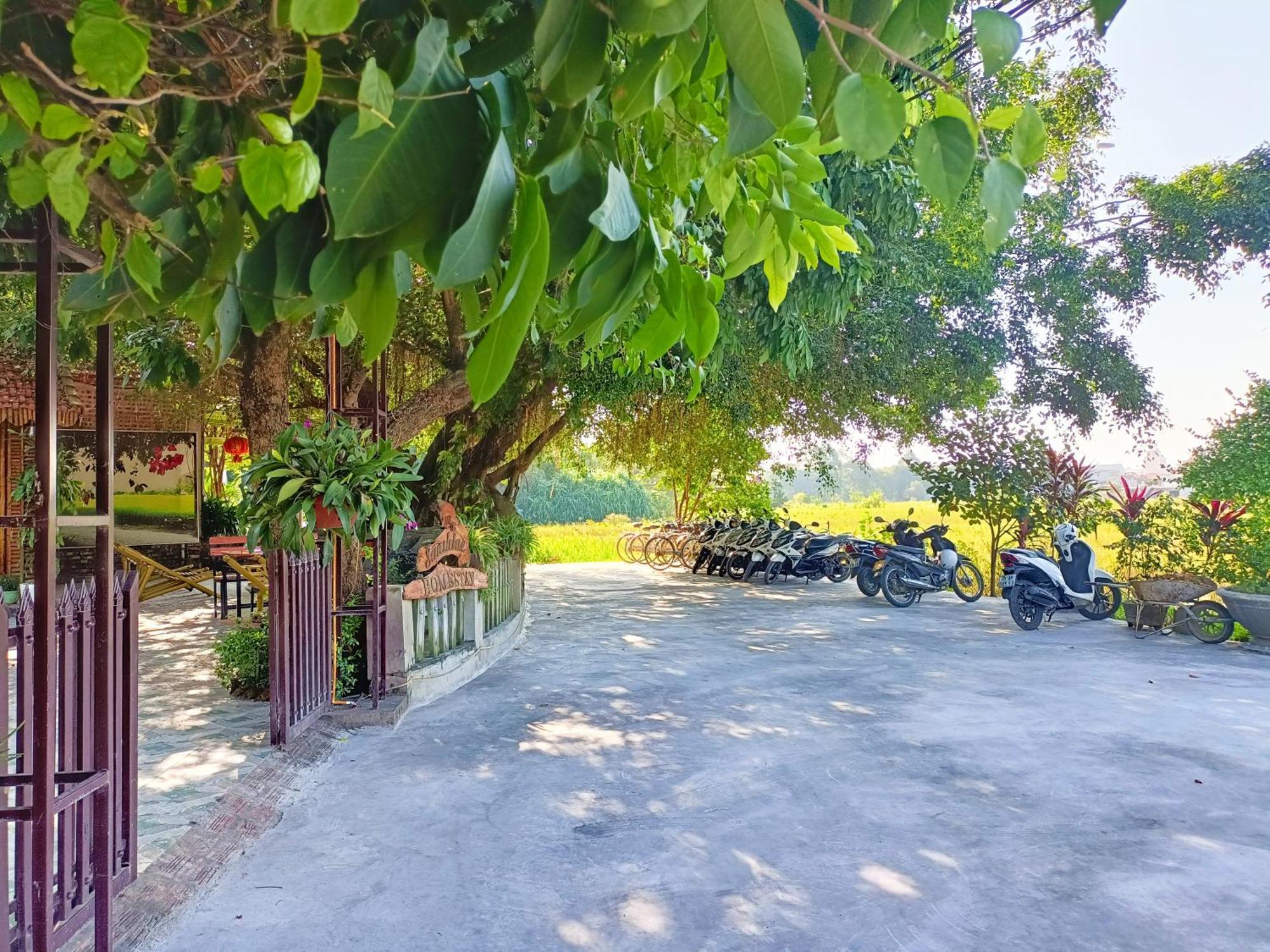 Tam Coc Sunshine Homestay Ninh Binh Exterior foto