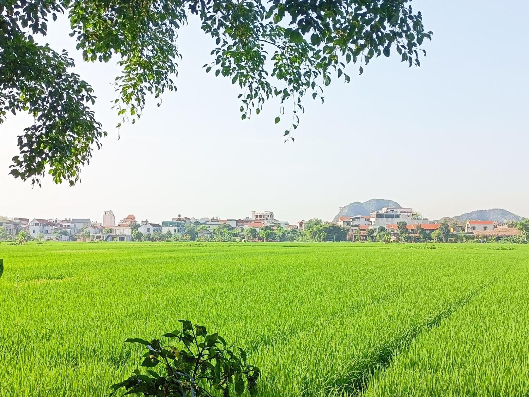 Tam Coc Sunshine Homestay Ninh Binh Exterior foto