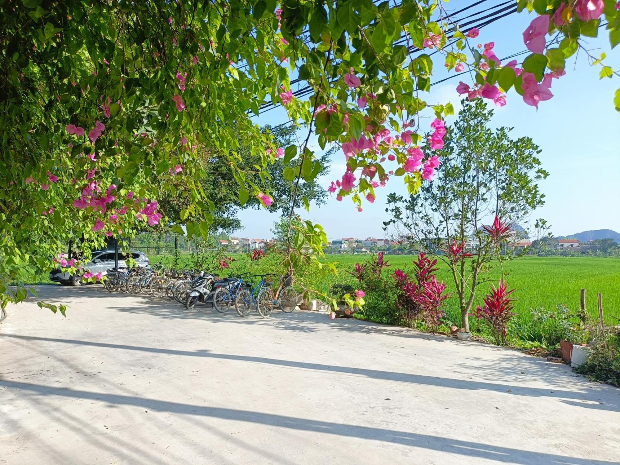 Tam Coc Sunshine Homestay Ninh Binh Exterior foto