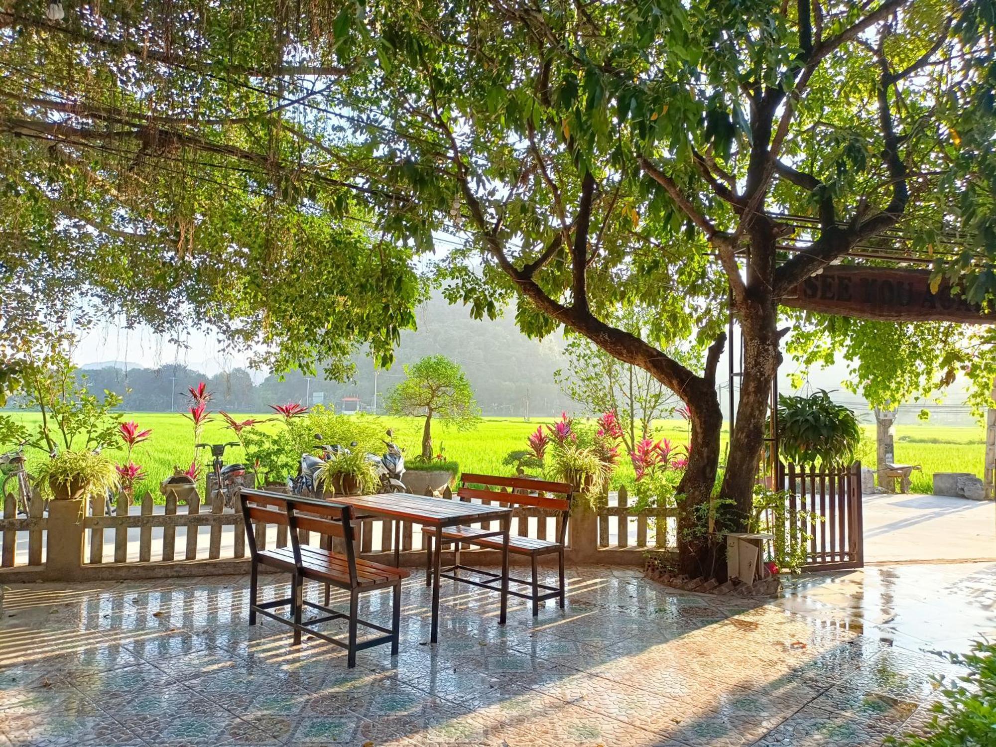 Tam Coc Sunshine Homestay Ninh Binh Exterior foto