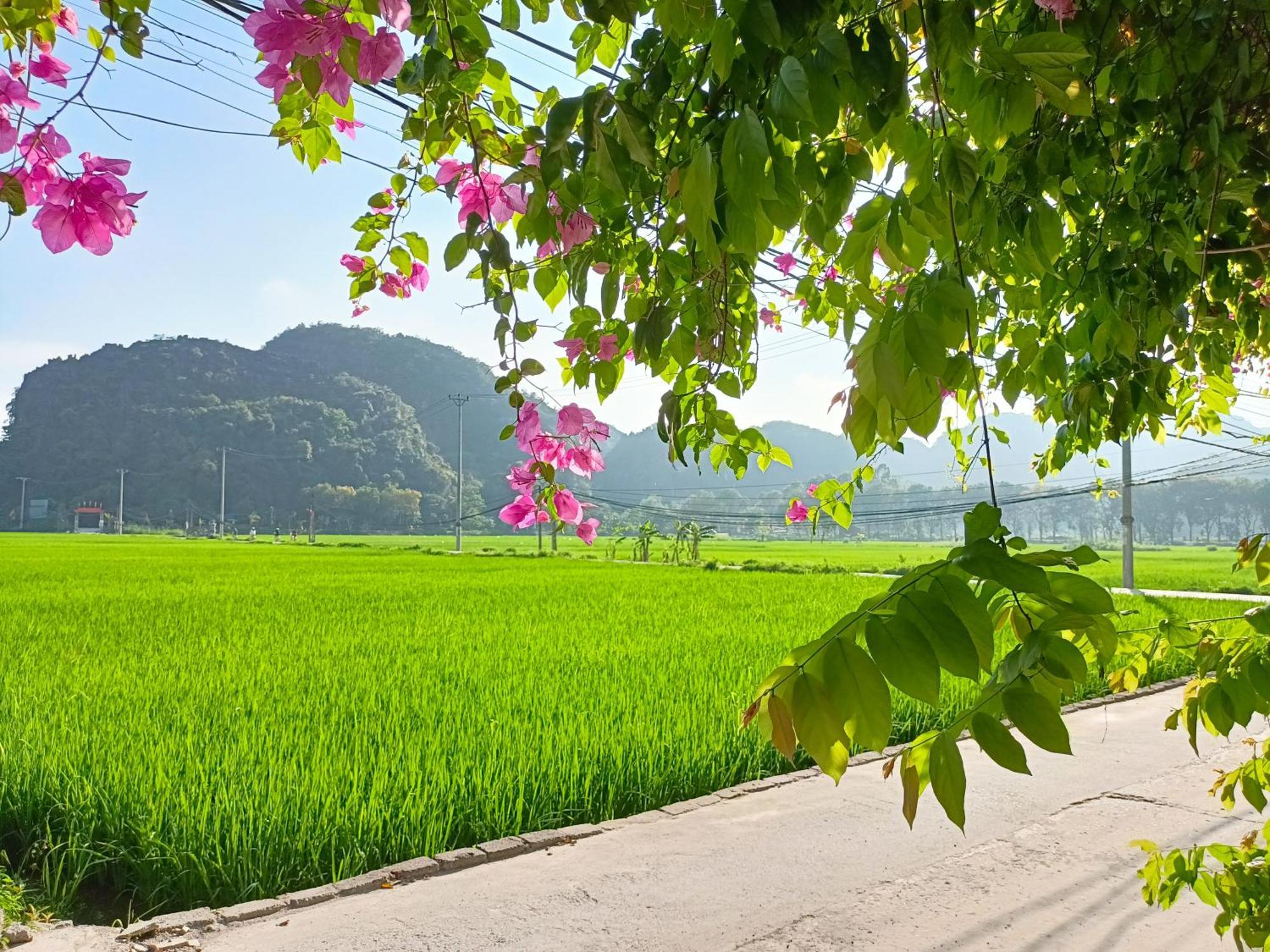 Tam Coc Sunshine Homestay Ninh Binh Exterior foto