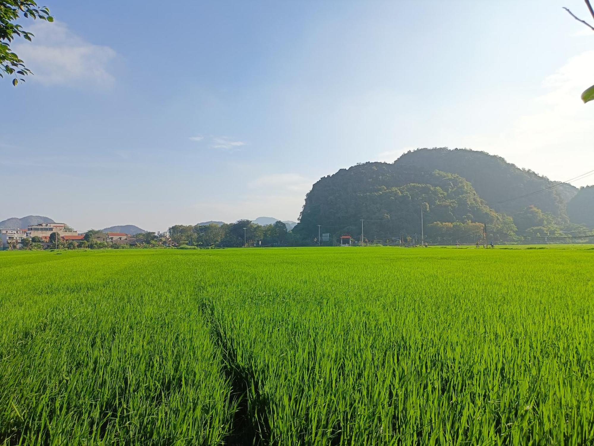 Tam Coc Sunshine Homestay Ninh Binh Exterior foto