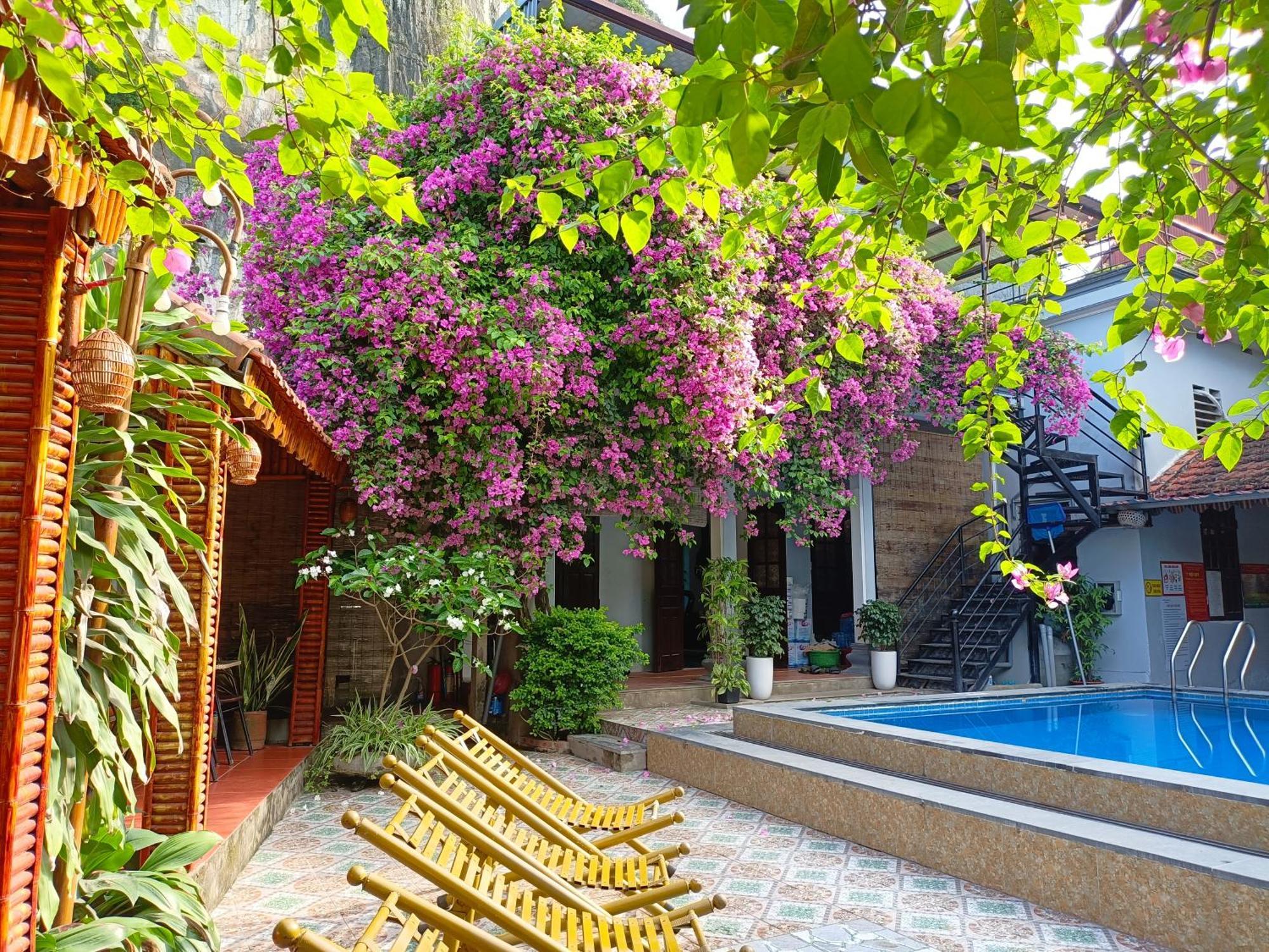 Tam Coc Sunshine Homestay Ninh Binh Exterior foto